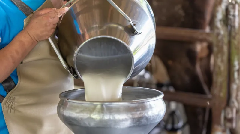 Myth 13: Raw Milk is a Traditional Superfood