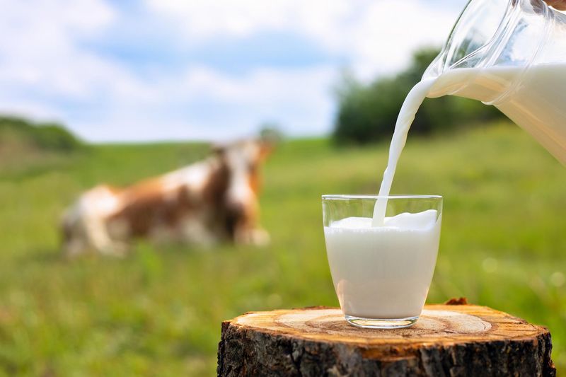 Myth 4: All Raw Milk is Organic