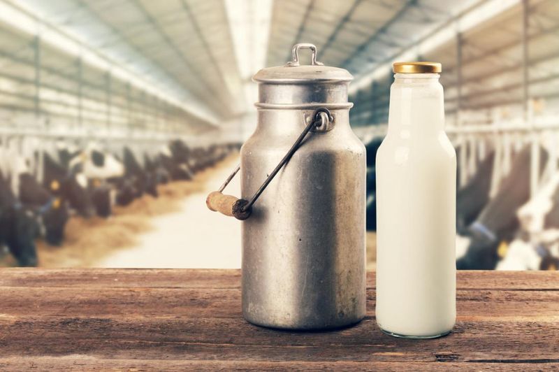 Myth 6: Raw Milk Helps with Allergies