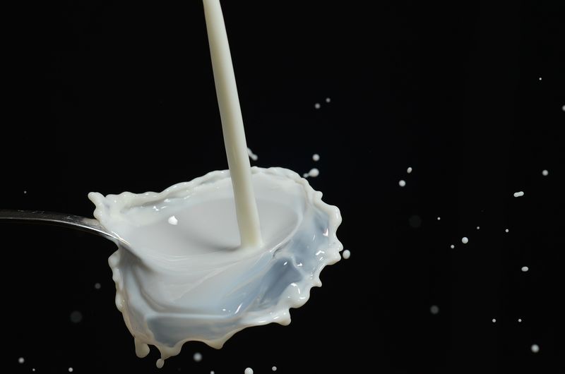 Myth 8: Raw Milk is Easier to Digest
