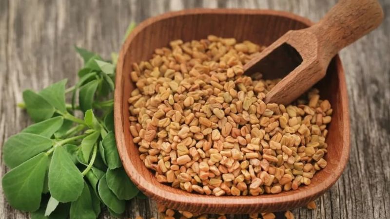 Fenugreek Seeds