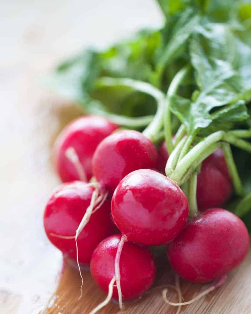 Radishes