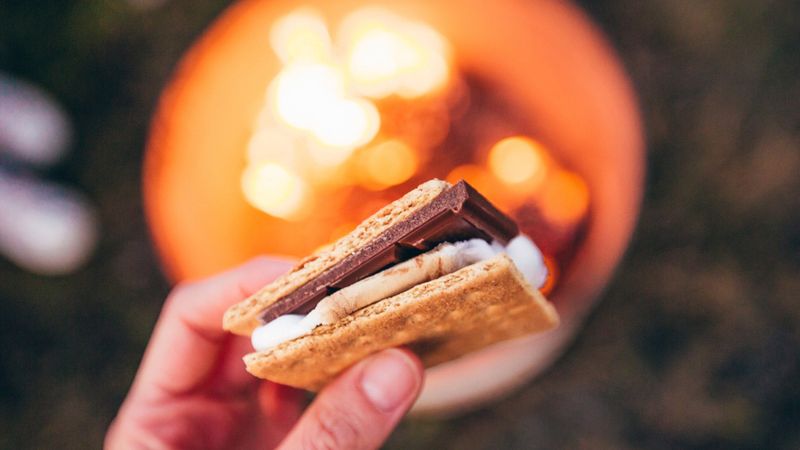 S'mores Campfire Magic