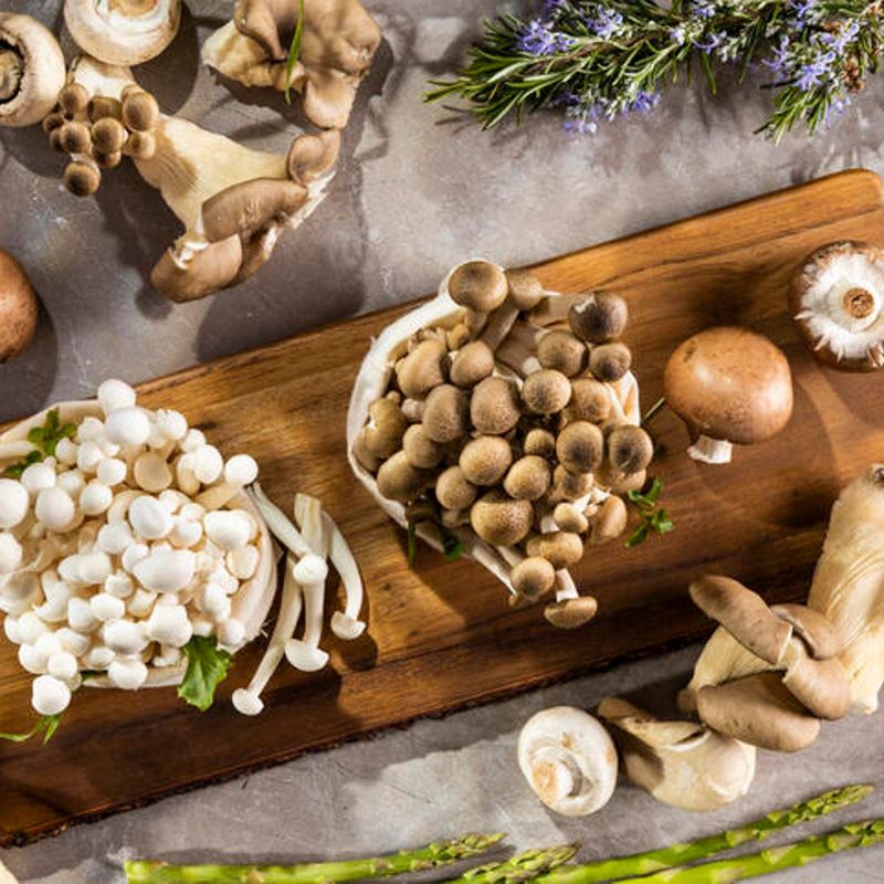 Functional Mushrooms