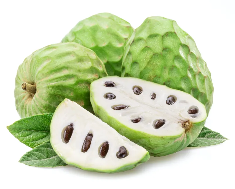 Cherimoya