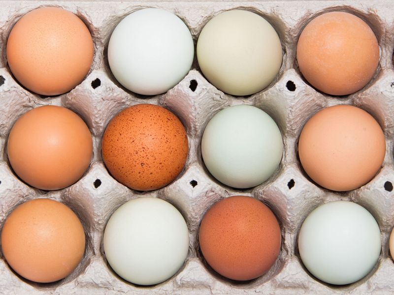 Free-Range Eggs