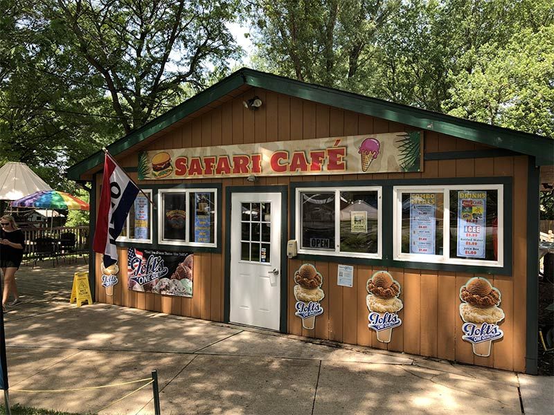 Jungle Safari Café