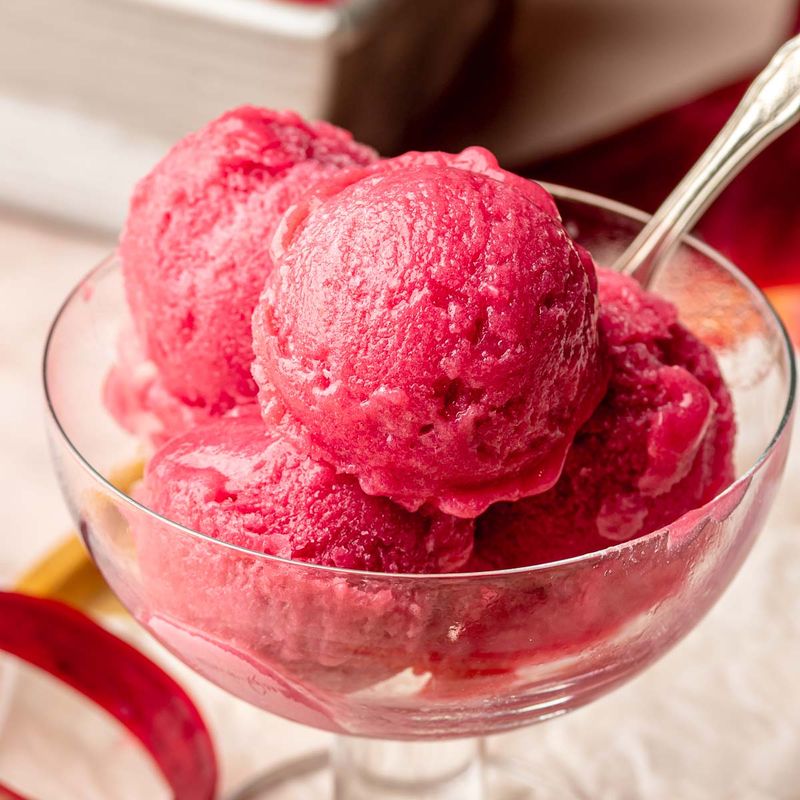 Rhubarb Sorbet