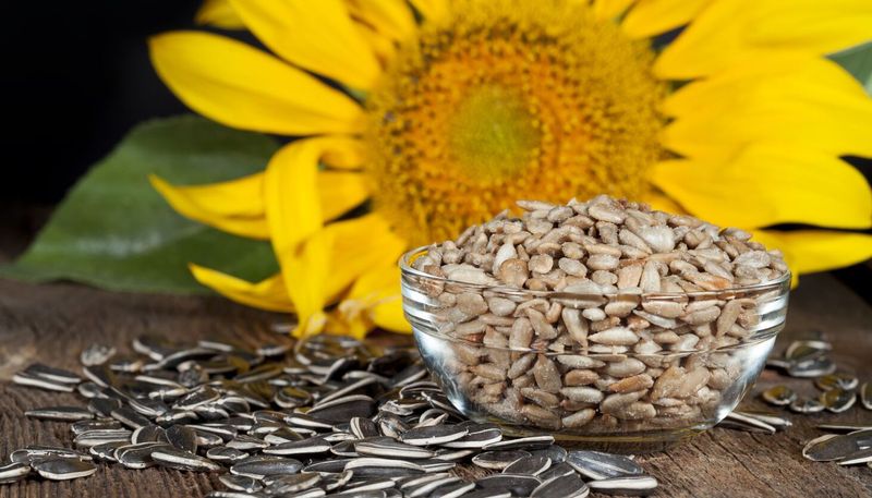 Sunflower Seeds