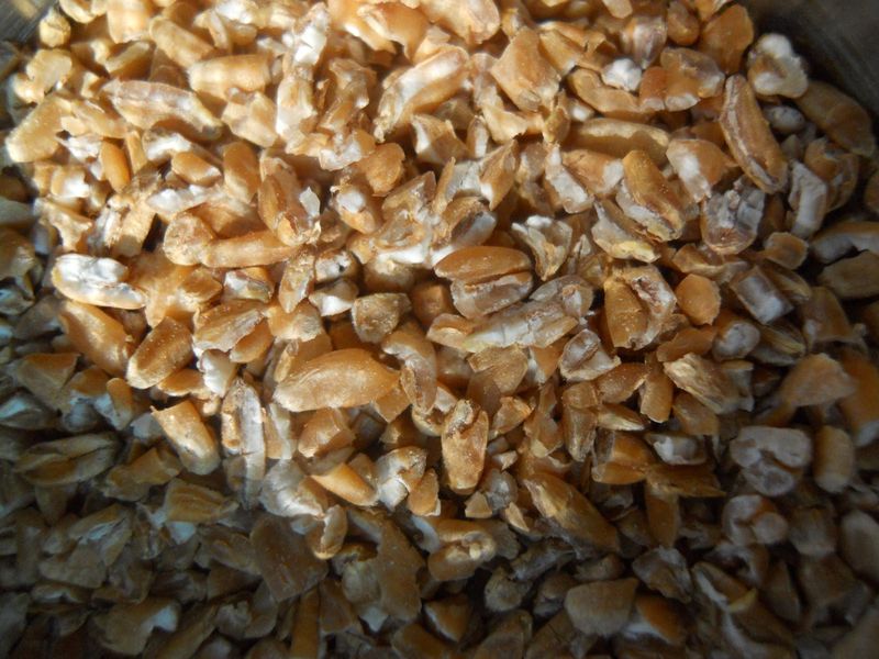 Wheat Germ