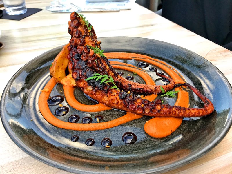 Octopus