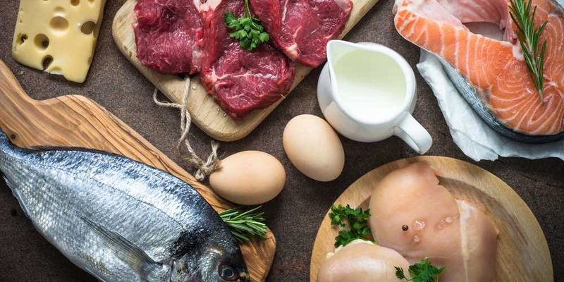 Animal Proteins