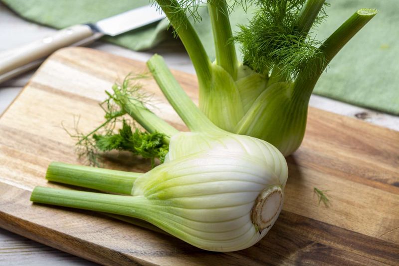 Fennel