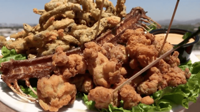 Fried Rattlesnake