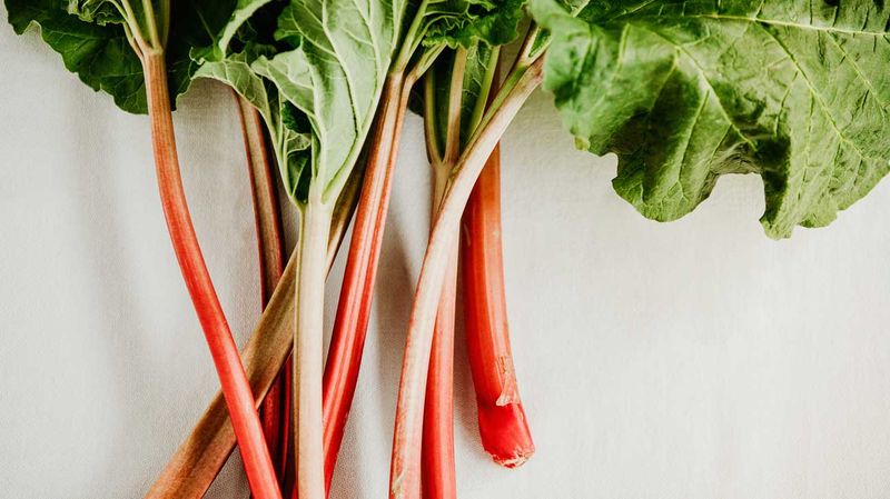 Rhubarb