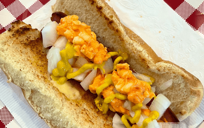 Southern Comfort Dog