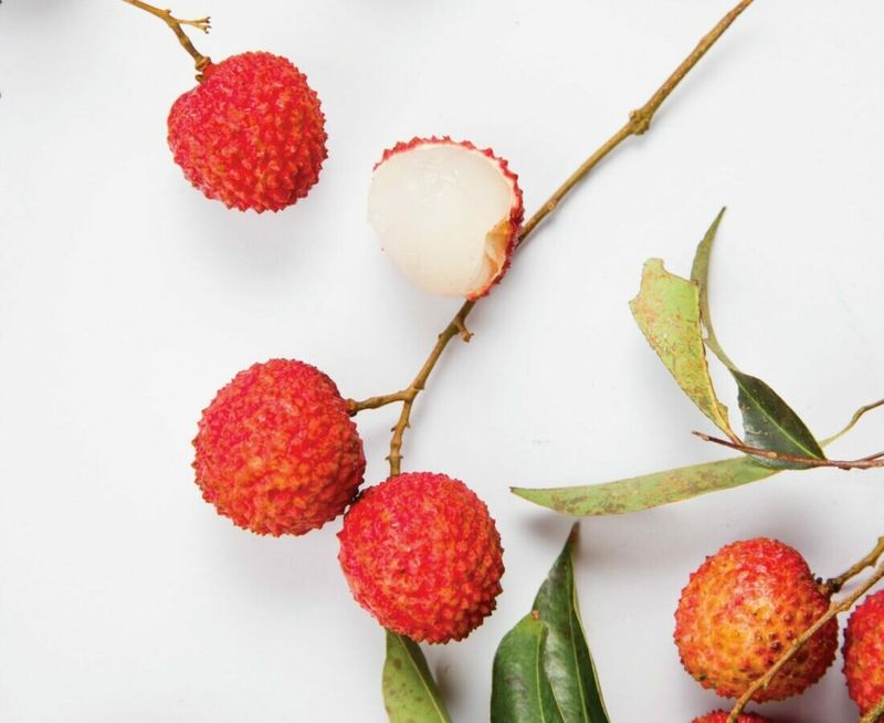 Lychee