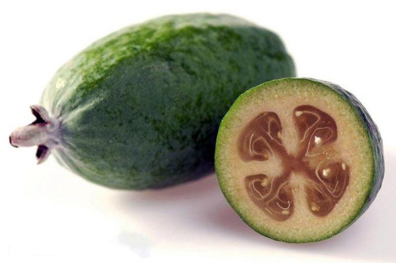 Feijoa