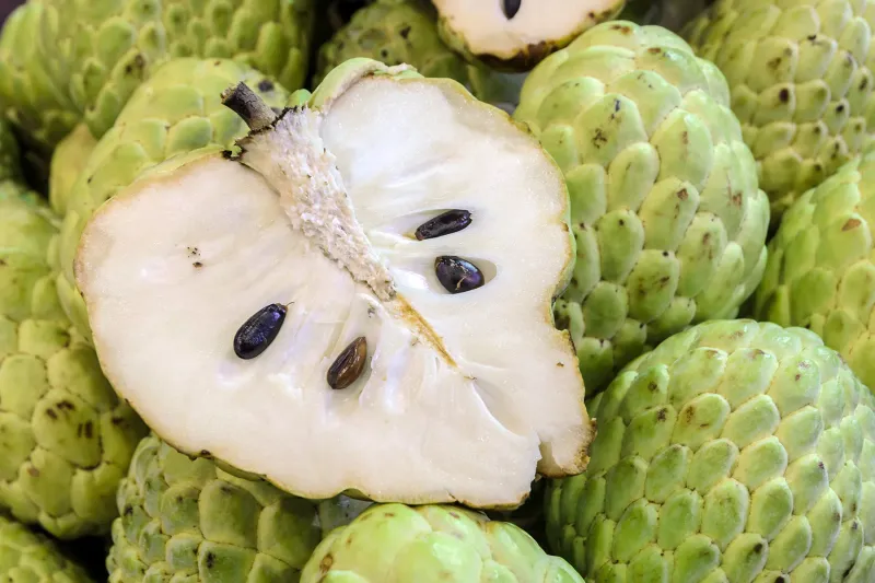 Cherimoya