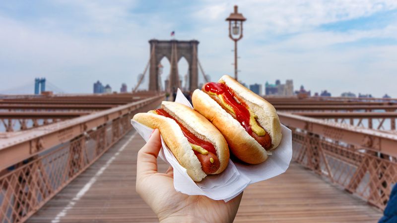New York Street Dog – New York