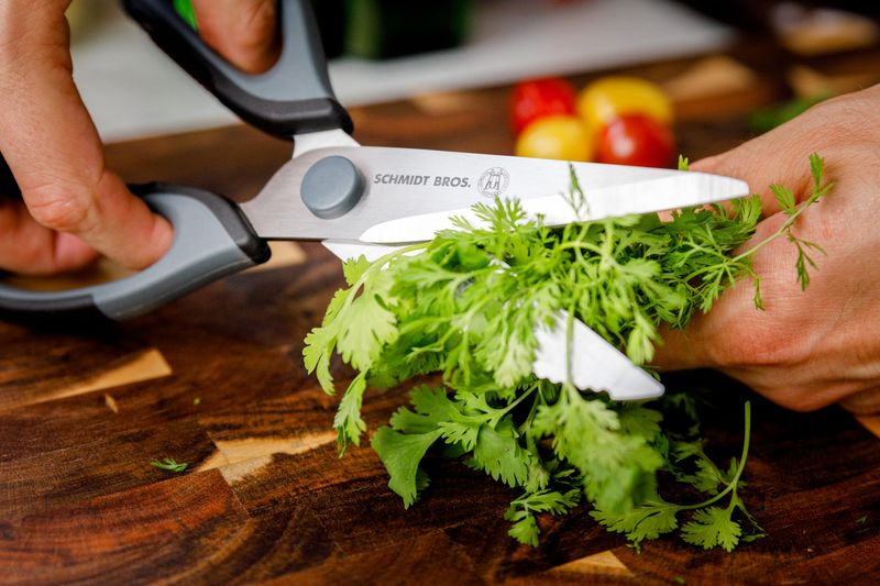 Kitchen Shears