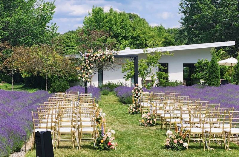 Lavender Fields Brunch