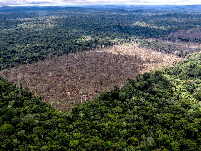 Unsustainable Cocoa Sourcing