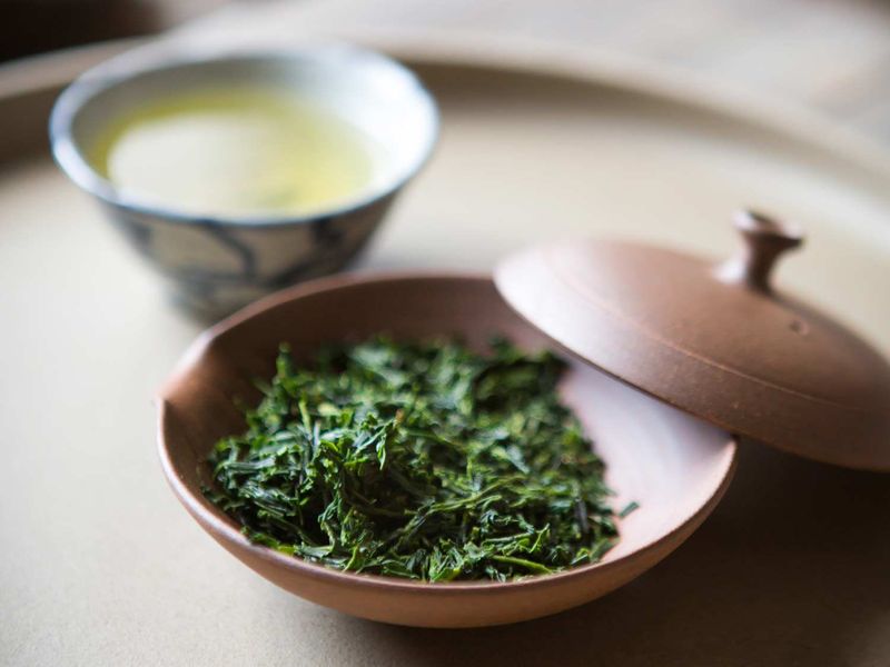 Sencha